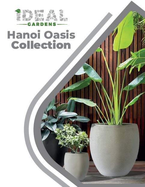 Hanoi Oasis Collection